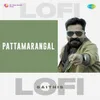About Pattamarangal - Lofi Song
