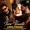 About Tere Vaaste Unplugged Song