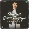 About Naam Goom Jayega - Trending Song
