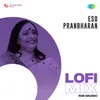 About Eso Pranbharan - Lofi Mix Song