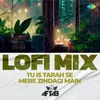 About Tu Is Tarah Se Mere Zindagi Main - LoFi Mix Song