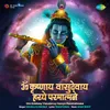 About Om Krishnay Vasudevay Haraye Paramatmane Song