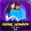 About Kadhal Sadugudu - RnB Mix Song