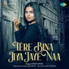 About Tere Bina Jiya Jaye Naa Song