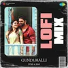 About Gundumalli - Lofi Mix Song