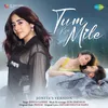 About Tum Kya Mile - Jonita's Version Song