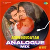 About Adire Hrudayam - Analogue Mix Song