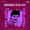 About Mohabbat Ho Na Jaye - Trap Mix Song