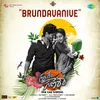 About Brundavanive (From "Gam Gam Ganesha") Song