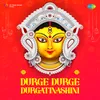 Durge Durge Durgatinashini