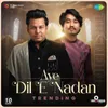 About Aye Dil E Nadan - Trending Song