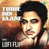 About Tujhe Bin Jaane Lofi Flip Song