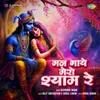 About Mann Bhaaye Mero Shyam Re Song