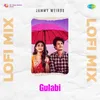 About Gulabi Lofi Mix Song