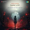 About Meri Jaan Dark Lofi Song