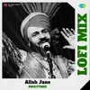 About Allah Jane Lofi Mix Song