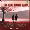 Ellelli Nodali Ninnane Kanuve - Lofi Flip