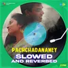 Pachchadanamey - Slowed And Reverbed