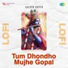 About Tum Dhondho Mujhe Gopal Lofi Song