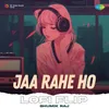 About Jaa Rahe Ho LoFi Flip Song