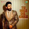 About Tu Mile Dil Khile Song