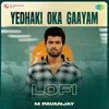 About Yedhaki Oka Gaayam - Lofi Song