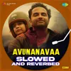 About Avunanavaa - Slowed n Reverbed Song