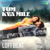 About Tum Kya Mile Lofi Beat Song