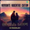 About Nuvvante Nakentho Ishtam - Chill Lofi Song