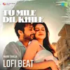 About Tu Mile Dil Khile Lofi Beat Song