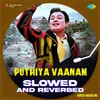 About Puthiya Vaanam - Slowed and Reverbed Song