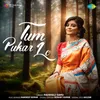 About Tum Pukar Lo Song