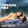 About Tum Kya Mile - Low Fidelity Song