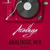 About Aradhya - Analogue Mix Song