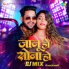 About Jaanu Ho Sona Ho - DJ Mix Song