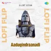 About Aadugindraanadi Lofi Flip Song