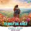 About Tu Mile Dil Khile Chill Flip Song