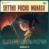 About Setthu Pochu Manasu - Lofi Beats Song
