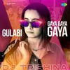 About Gulabi X Gaya Gaya Gaya Song