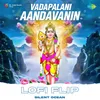 About Vadapalani Aandavanin Lofi Flip Song