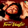 About Tere Vaaste Song