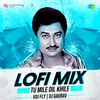About Tu Mile Dil Khile - Lofi Mix Song