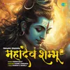 About Mahadev Shambhu Song