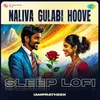 About Naliva Gulabi Hoove - Sleep Lofi Song