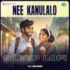 About Nee Kanulalo - Sleep Lofi Song