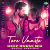 About Tere Vaaste - Deep House Mix Song