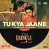About Tu Kya Jaane (From "Amar Singh Chamkila") Song