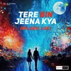 About Tere Bin Jeena Kya Melodic Lofi Song