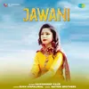 About Jawani Song