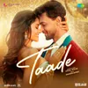 About Taade (From "Ruslaan") Song
